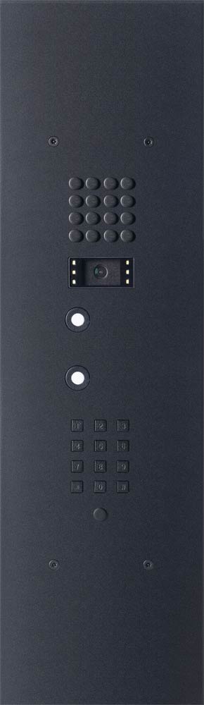 Wizard Bronze Black IP 2 buttons large model keypad and video color